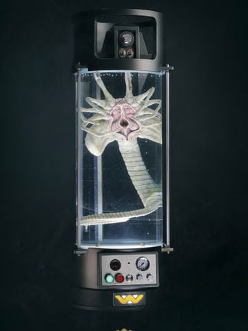  Facehugger Stasis Chamber - Alien - Deep Tale Studio 