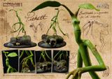  Pickett - Fantastic Beasts and Where to Find Them - Prime 1 Studio (LSFB-01) 