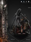  Scorched Xenomorph - Alien: Romulus - Prime 1 Studio 