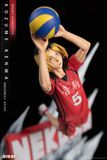  Kenma Kozume - Haikyuu!! - Hikari Studio 