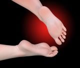  Suzuran & Vulpisfoglia - Arknights - Arctic Wolf Studio 