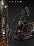 Scorched Xenomorph - Alien: Romulus - Prime 1 Studio 