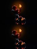  Charmander - Pokemon - Dream Elf Studio 