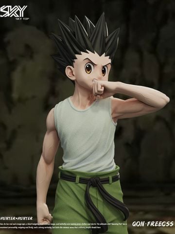  Gon Freecss - Hunter x Hunter - Sky Top Studio 