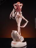  Medusa - Gamma Studio 