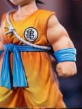  Son Goku Childhood - Dragon Ball - Zone Studio 
