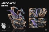  Aerodactyl - Pokemon - Wonder Studio 