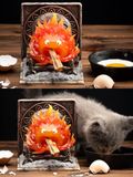  Calcifer - Howl's Moving Castle - Chikara Studio 