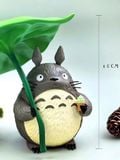  Totoro - My Neighbor Totoro - Story Studio 