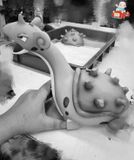  Ash Ketchum - Pokemon - Wasp Studio 