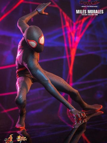  Miles Morales - Spider Man: Across The Spider Verse - Hot Toys 