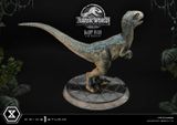  Baby Blue - Jurassic World: Fallen Kingdom - Prime 1 Studio (LMCJW2-08) 