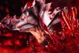  Denji - Chainsaw Man - Big Feeler Studio 
