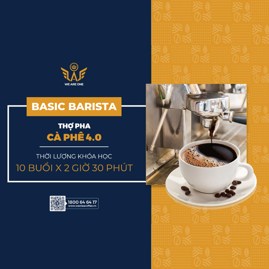  Khóa Học Basic Barista 