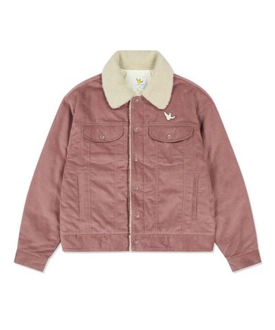 Jacket What it isn’t 