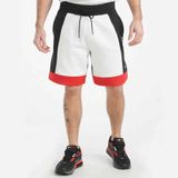  Nike Air Fleece Shorts 