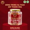 Đông Trùng Hạ Thảo Sấy Thăng Hoa