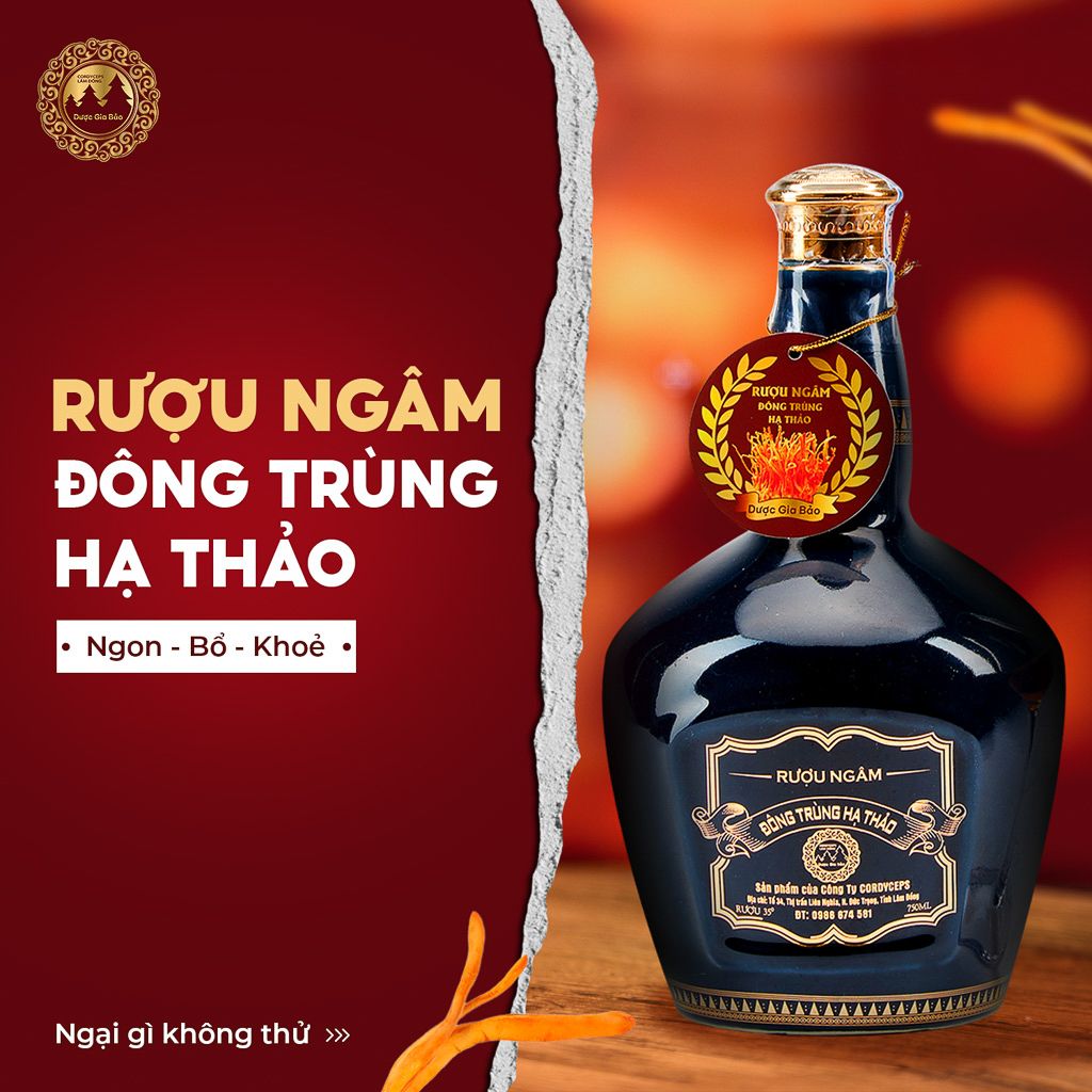  Rượu Ngâm Đông Trùng Hạ Thảo 