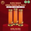  RƯỢU BÌNH THỦY TINH ĐÔNG TRÙNG HẠ THẢO 1.5L 