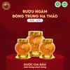  RƯỢU BÌNH THỦY TINH ĐÔNG TRÙNG HẠ THẢO 2,7L 