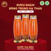RƯỢU BÌNH THỦY TINH ĐÔNG TRÙNG HẠ THẢO 3,6L