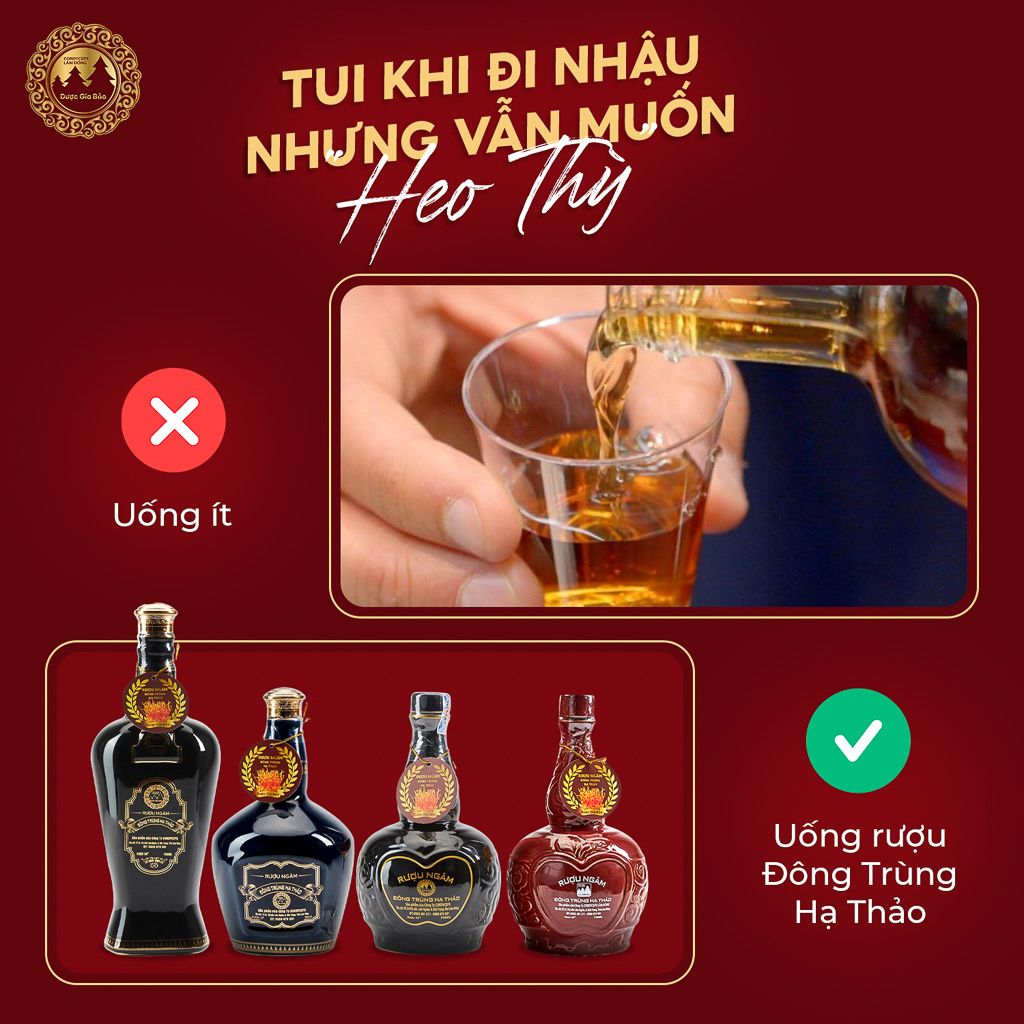  Rượu Gốm Xanh Premium Đông Trùng Hạ Thảo 