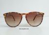  Kính râm màu đồi mồi chất cổ điển Rayban (RB 4171). 