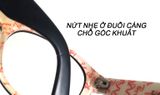  Gọng kính màu đen Rayban chuẩn xịn. Gọng kính nhiều năm tuổi. Gọng đẹp chất thời trang. 