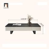  Bàn trà phòng khách hiện đại 1m2 x 60 BSF39 Sucade ván gỗ 