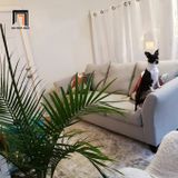  Ghế sofa băng 3 nệm ngồi giá rẻ BT214 Ben màu xám vải bố 