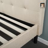  Giường ngủ vải nỉ xinh xắn GN8 Leonard 1m6 x 2m cho gia đình 