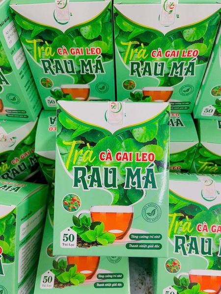 Trà cà gai leo rau má 50 túi lọc