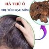 Hà thủ ô khô loại 1 chưa chế đỗ đen