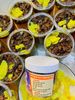 Phổi ngựa bạch ngâm mật ong 350ml