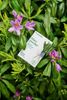 Giá bán 630k Nutrilite Fiber Powder chất xơ Amway