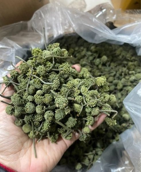 Nụ hoa tam thất khô loại 1