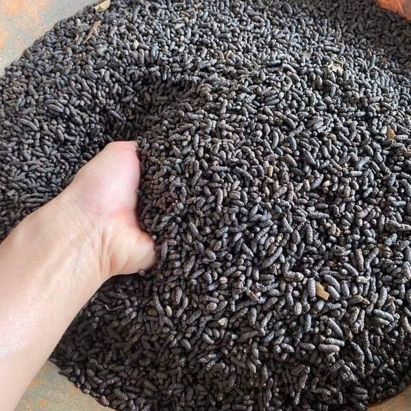 Sỉ liên hệ Phân dơi loại 1 hàng đẹp nguyên chất nhà nuôi