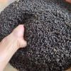 Sỉ liên hệ Phân dơi loại 1 hàng đẹp nguyên chất nhà nuôi