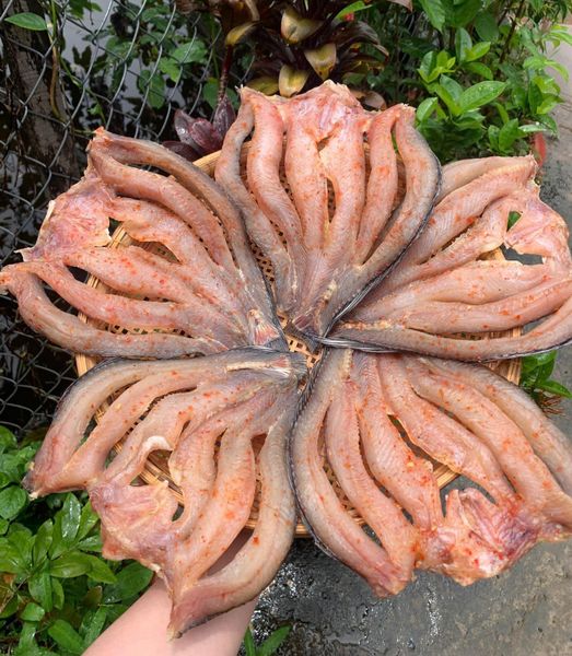 Khô cá lóc lạt vừa ăn bao ăn size 5-6 con/kg Đồng Tháp cá lóc khô