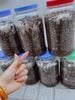 Sim tươi sơ chế sẵn bình 5kg