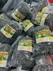 1kg cây cỏ mực chuẩn