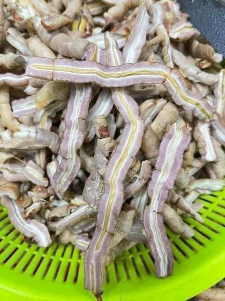 Ba kích tím Quảng Ninh hàng tươi loại A1 đã bóc lõi