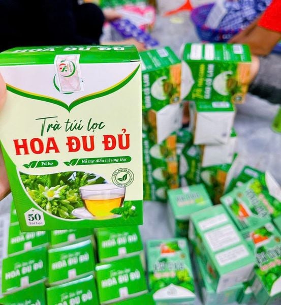Trà hoa đu đủ đực 50 túi lọc