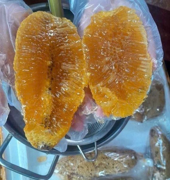 1 lít Mật ong ruồi rừng Tây Nguyên hàng chuẩn tự vắt