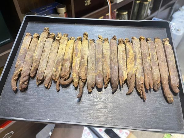 100g sâm cao ly nguyên củ khô