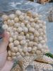 Giá lẻ 1kg Mắc ca Đak Lak bao ăn giá rẻ