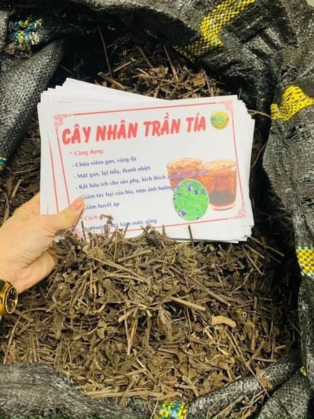 Nhân trần tía 1kg loại 1