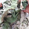 Trà lá sen cuộn lá sen khô loại 1