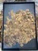 100g Hồng sâm thái lát khô làm trà thảo mộc
