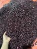 1kg Đậu đỏ non Tủa Chùa